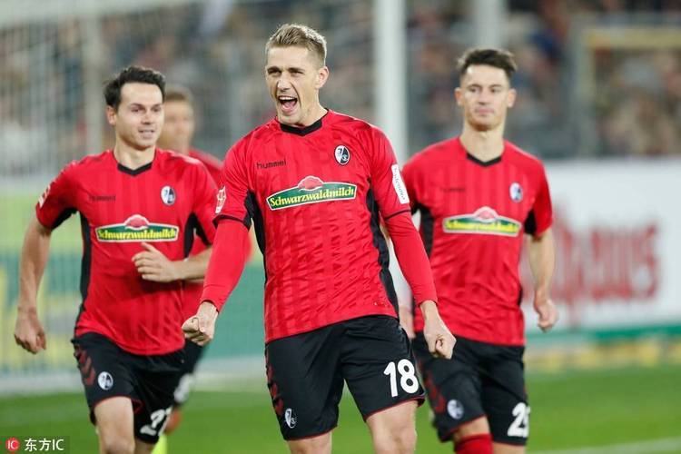 九游网页版-弗赖堡要与法兰克福争个胜负